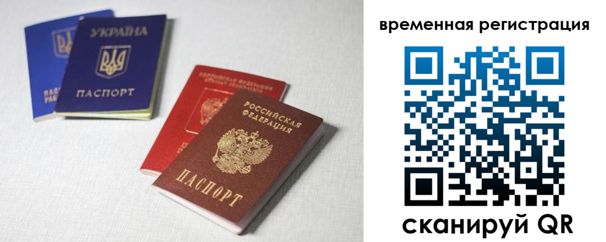 прописка 2025 в Камышине